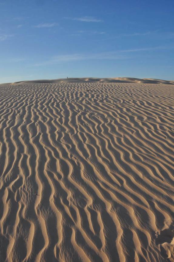 Dunas nos Pequenos Lençóis, região de Paulino Neves - MA
